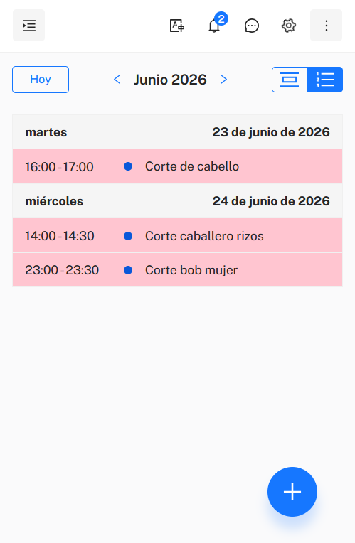 Agenda en línea
